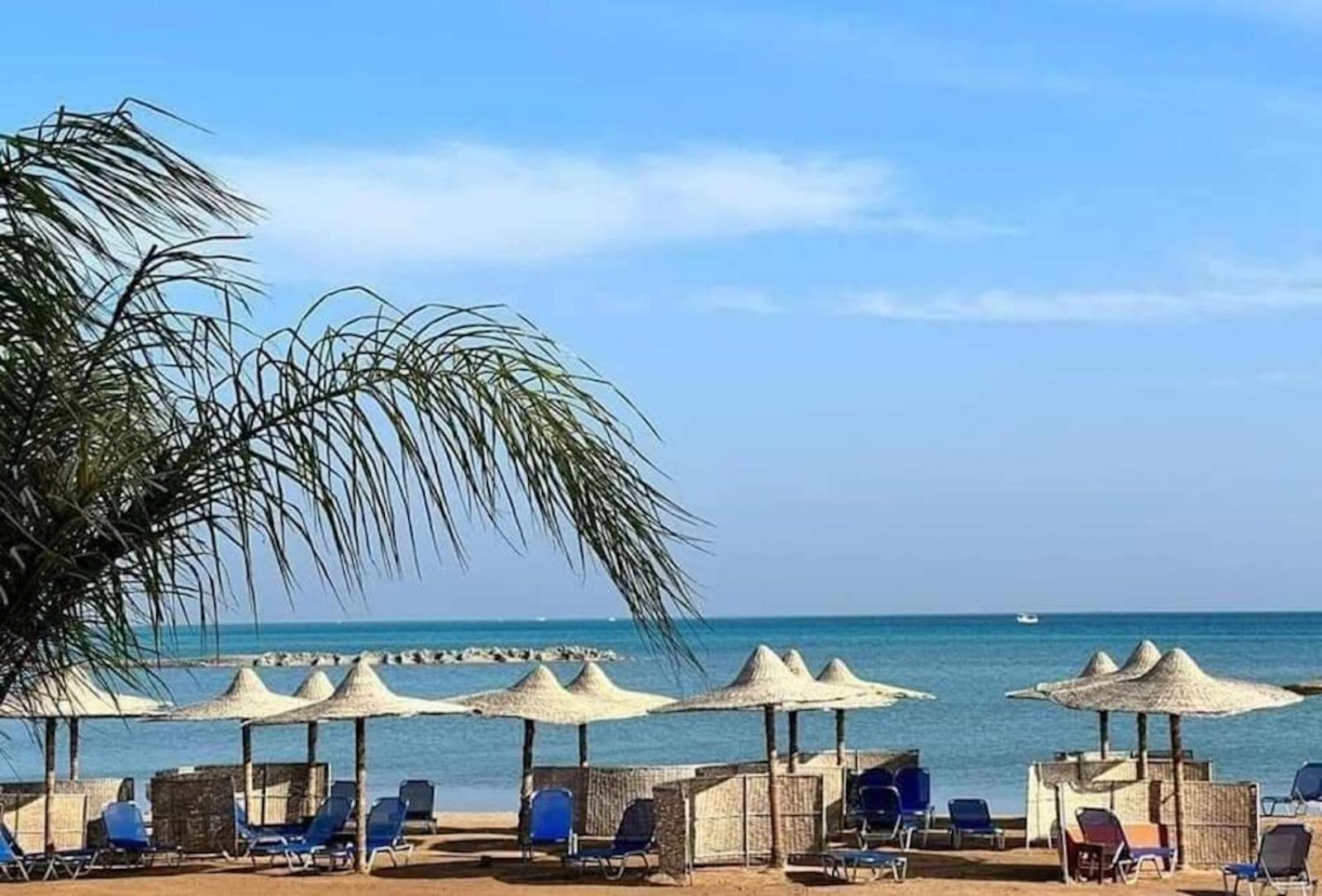 Comfort Zone At Turtles Beach Resort Hurghada Buitenkant foto